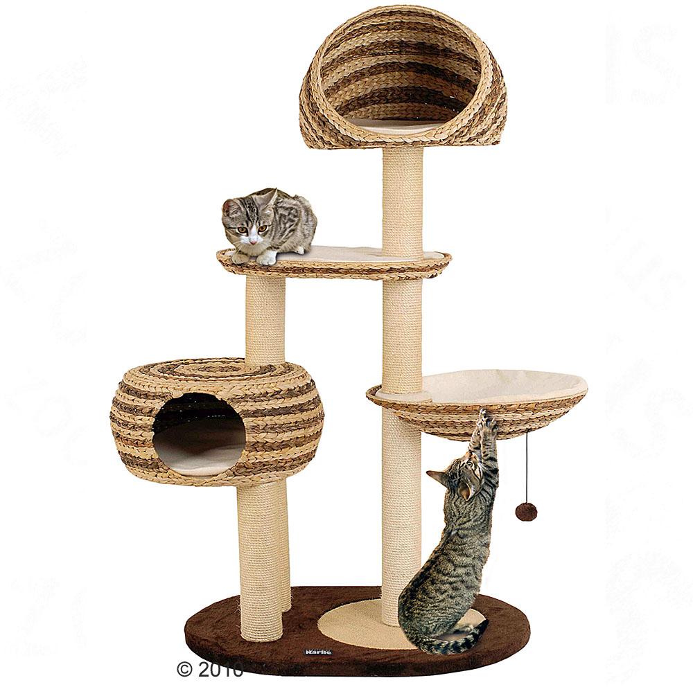 arbre a chat feuille